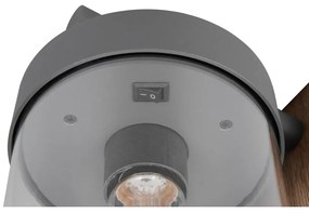Zewnętrzna lampa ścienna (wysokość 33 cm) Sambesi – Trio