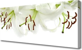 Fotoobraz na płótnie Kompozycja Florystyczna