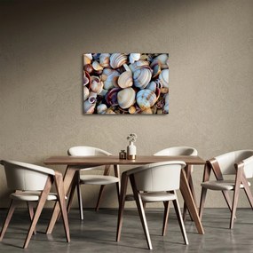 Obraz muszelek (70x50 cm)