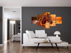 Obraz - Koń o zachodzie słońca (125x70 cm)