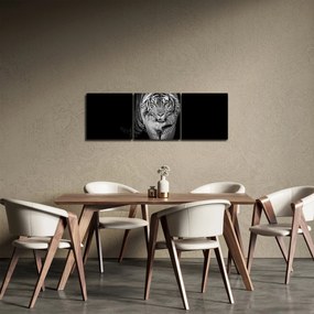 Obraz - Tygrys z żółtymi oczami (z zegarem) (90x30 cm)