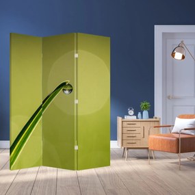 Parawan - Kropla wody na trawie (126x170 cm)