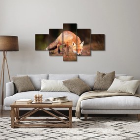 Obraz - Lis w lesie (125x70 cm)