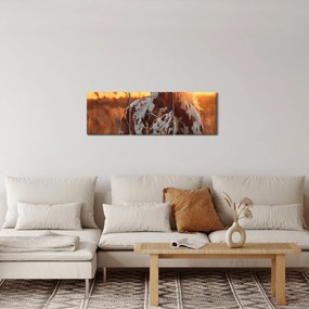Obraz - Koń o zachodzie słońca (z zegarem) (90x30 cm)