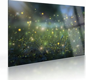 Obraz na szkle - Magiczna noc (70x50 cm)
