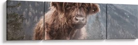Obraz - Krowa góralska (170x50 cm)