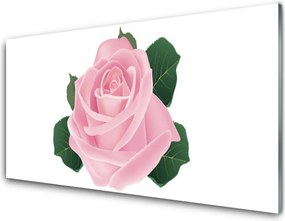 Panel Kuchenny Królewski Pąk Róży