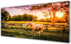 Szkło do Kuchni na Ścianę Dzikie Konie Na Pastwisku