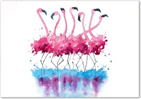 Obraz zdjęcie na ścianę akryl Flamingi