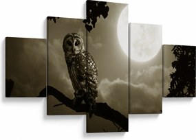 Obraz - Nocna sowa, złoty (125x70 cm)