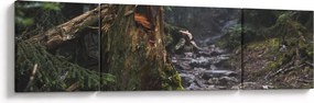 Obraz - W lesie (170x50 cm)