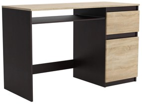 Biurko komputerowe młodzieżowe szkolne 120 cm REMI1 Wenge/Dąb Sonoma