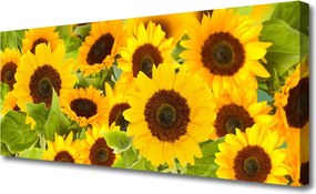 Fotoobraz na płótnie Radosne Słoneczniki