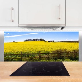 Szkło Ozdobne do Kuchni Bezkres Złocistych Pól