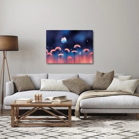 Obraz dmuchawca z niebieskim motylem (70x50 cm)