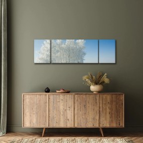 Obraz zaśnieżonego krajobrazu (170x50 cm)