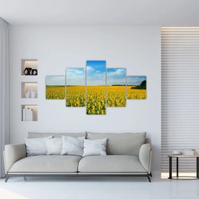 Obraz - ciąg słoneczników (125x70 cm)