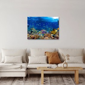 Obraz - Ocean (70x50 cm)