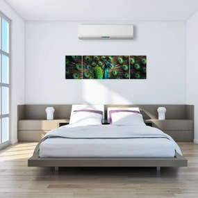 Obraz – Paw (170x50 cm)