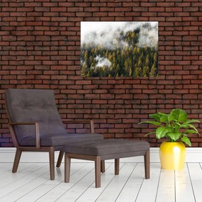 Obraz na szkle lasu w chmurach (70x50 cm)