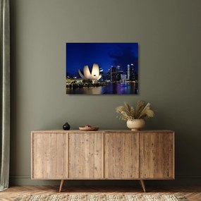 Obraz na szkle - Singapur nocą (70x50 cm)
