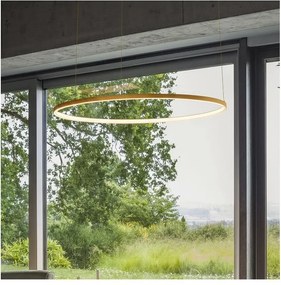 Ideal Lux - Żyrandol LED na lince ORACLE SLIM LED/81W/230V CRI 90 śr. 150 cm złoty