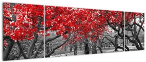 Obraz - Czerwone drzewa, Central Park, New York (170x50 cm)