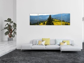 Obraz - Górska łąka (170x50 cm)