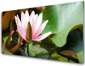 Panel Szklany Subtelny Pąk Kwiatowy