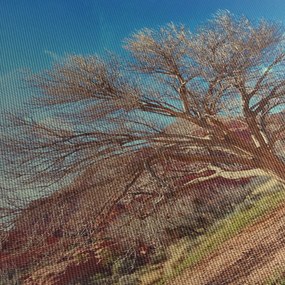 Obraz drzewa na pustyni (z zegarem) (90x30 cm)
