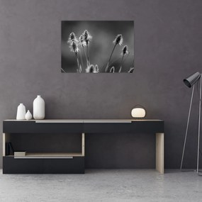 Obraz - Beżowa miękka trawa N⁰2 (70x50 cm)