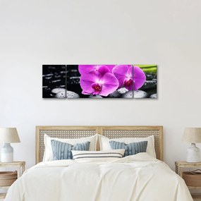 Obraz - Storczyki (170x50 cm)