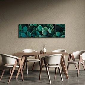 Obraz - Opuncja (170x50 cm)