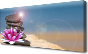 Obraz canvas Lilia Wodna na Jeziorze