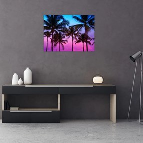 Obraz - Palmy w Miami (70x50 cm)