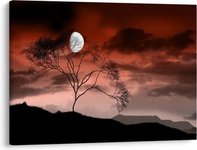 Obraz - Księżyc oświetlający noc (70x50 cm)
