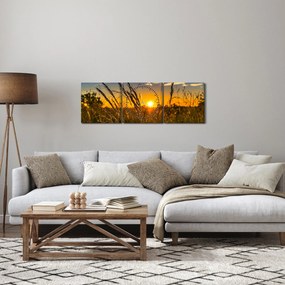 Obraz pola o zachodzie słońca (z zegarem) (90x30 cm)
