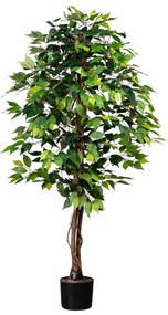 Sztuczna roślina Ficus benjamin, 160 cm, zielony