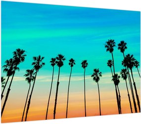 Obraz na szkle - Kalifornia (70x50 cm)