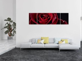 Obraz - Czerwona róża (170x50 cm)