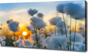 Obraz canvas Romantyczna Natura w Kwiatach