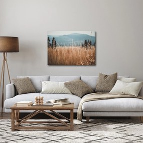 Obraz - szczegół łąki (70x50 cm)