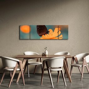 Obraz - motyl na pomarańczowym kwiatku (170x50 cm)