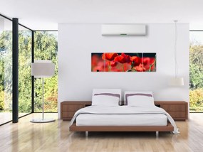 Obraz - maki (170x50 cm)