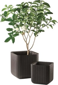 Keter donica Cube M 50,5 l, brązowy