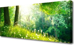 Duży obraz na płótnie Sielska Zielona Łąka