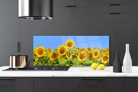 Panel Kuchenny Złocisty Słonecznik W Słońcu