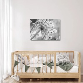Obraz na szkle - Kwiat w zimie (70x50 cm)