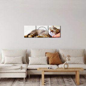 Obraz - Śpiący kotek (z zegarem) (90x30 cm)