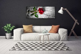Obraz Canvas Róża Kwiat Roślina Natura